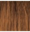 StarGazer Haartönung - auburn